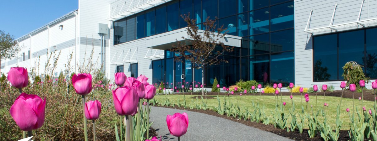 C&L Aviation Group Headquarters